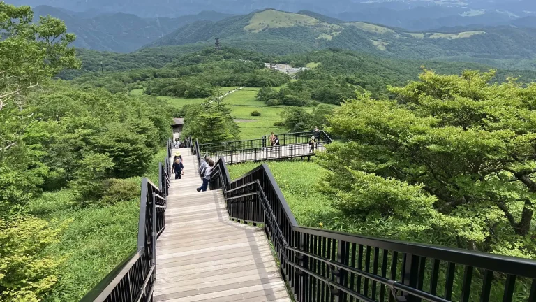 日光市霧降高原キスゲ平園地イメージ